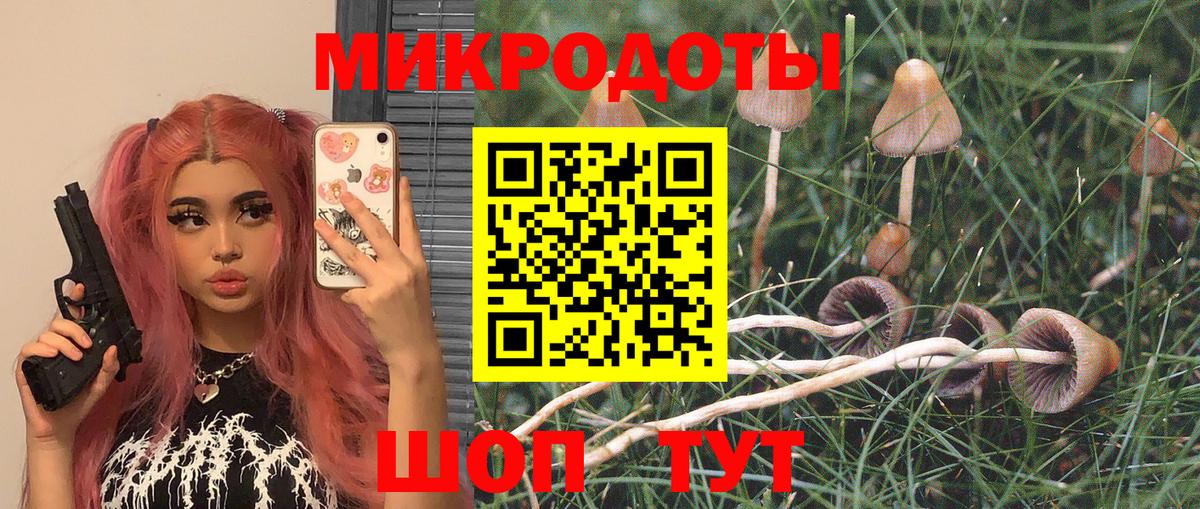 Псилоцибиновые грибы Magic Shrooms  Вход с VPN  Псилоцибиновые грибы мицелий  Новотроицк 