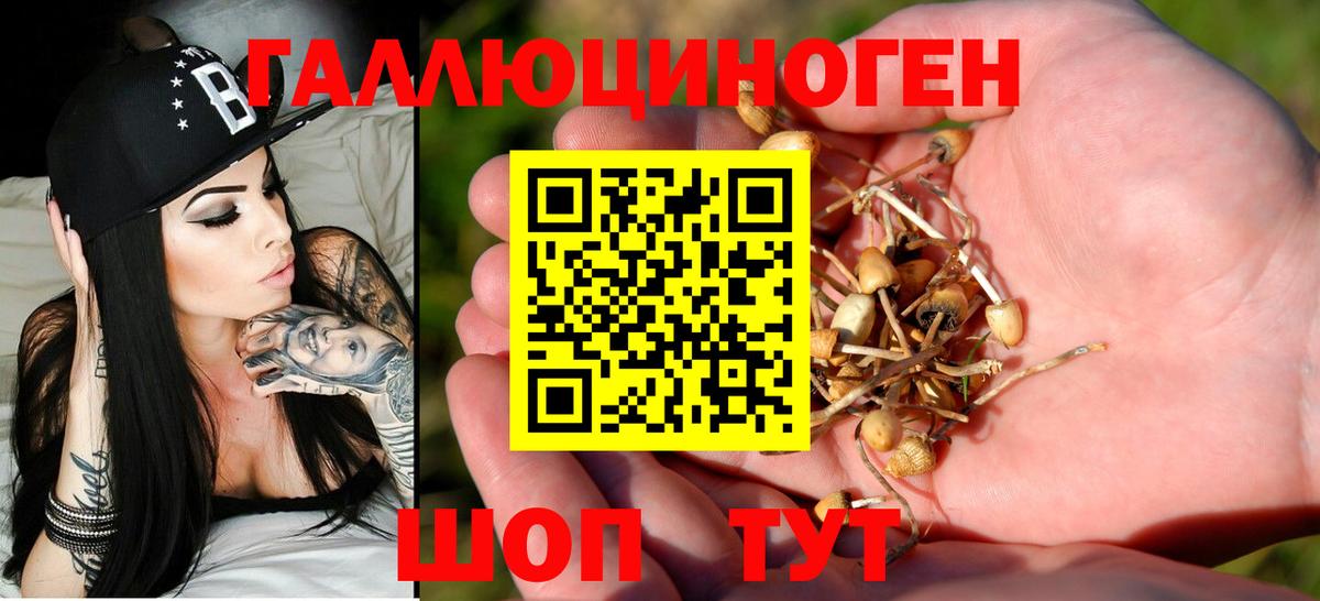 Псилоцибиновые грибы ЛСД Новотроицк
